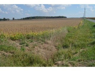 Property photo 62 - REAL ESTATE AUCTION - 604+/- ACRES IN 14 TRACTS IN MERCER CO., OHIO